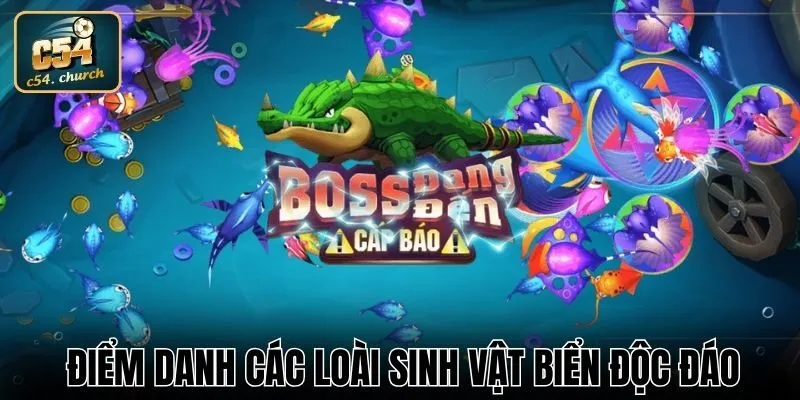 Điểm danh các loài sinh vật biển độc đáo