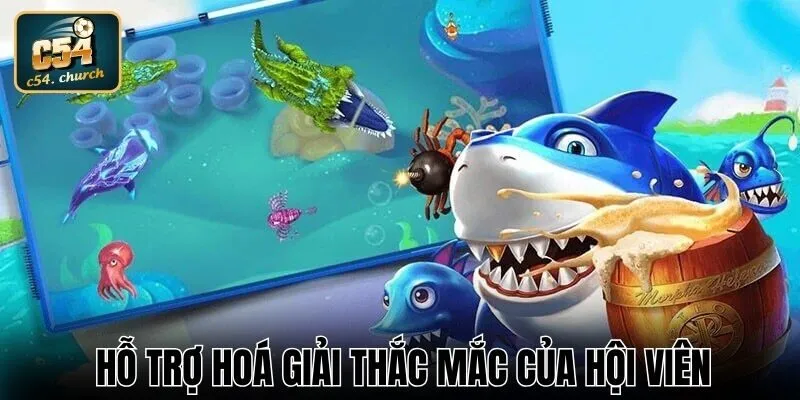 Hỗ trợ hoá giải thắc mắc của hội viên
