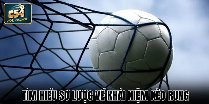 Tìm hiểu sơ lược về hình thức tỷ lệ rung